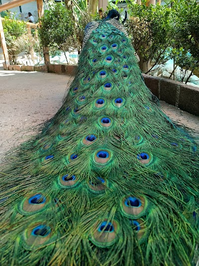 Aviario del Parque Lincoln, con jaulas de hierro y árboles altos al fondo.