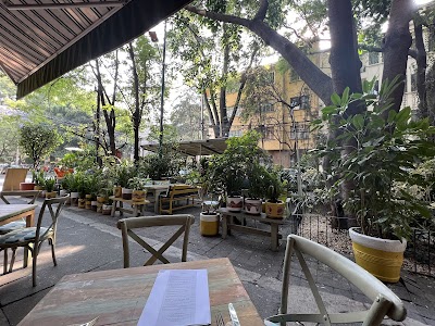 Café Toscano en Polanquito, Polanco, con terraza al exterior.