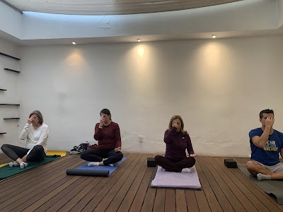 Gurukul Yoga Studio Polanco